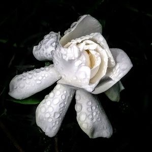 Meet your Posher, Meredith